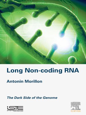 cover image of Long Non-coding RNA